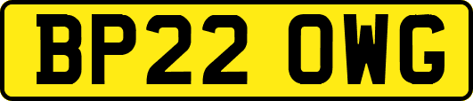 BP22OWG