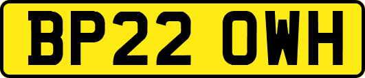 BP22OWH