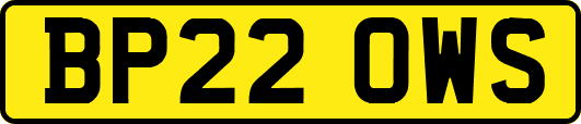 BP22OWS