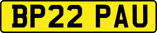 BP22PAU