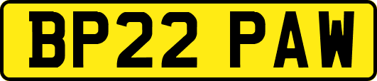 BP22PAW