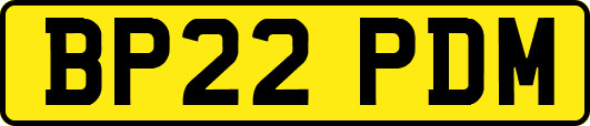 BP22PDM