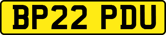 BP22PDU