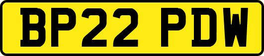 BP22PDW