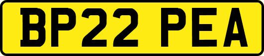 BP22PEA