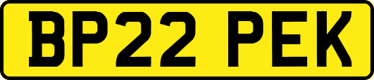 BP22PEK