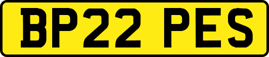 BP22PES