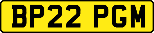 BP22PGM