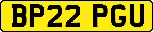 BP22PGU