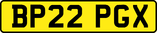 BP22PGX