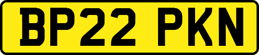 BP22PKN