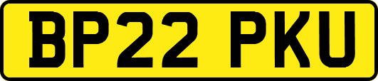 BP22PKU