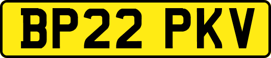 BP22PKV