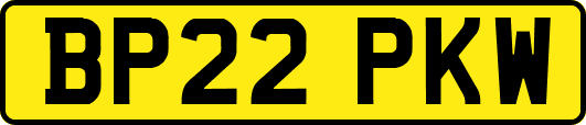 BP22PKW
