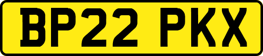 BP22PKX