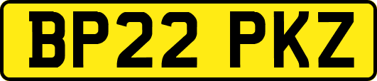 BP22PKZ