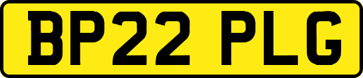 BP22PLG