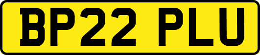 BP22PLU