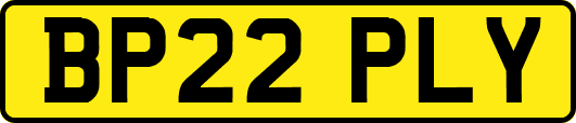BP22PLY