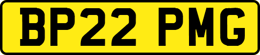 BP22PMG