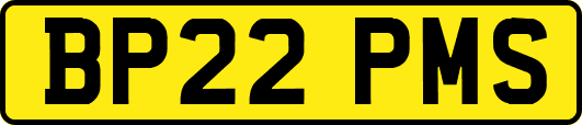 BP22PMS