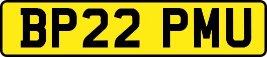 BP22PMU