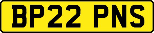 BP22PNS
