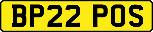 BP22POS