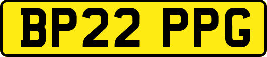 BP22PPG
