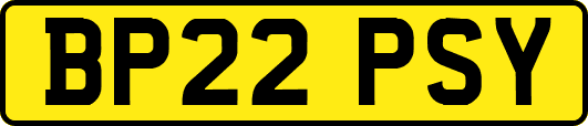BP22PSY