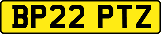 BP22PTZ