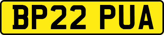 BP22PUA