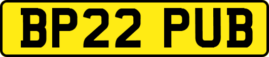 BP22PUB