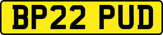 BP22PUD