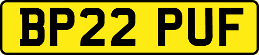 BP22PUF