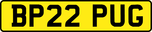 BP22PUG