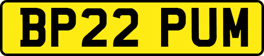 BP22PUM