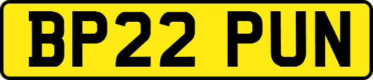BP22PUN