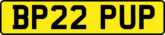 BP22PUP