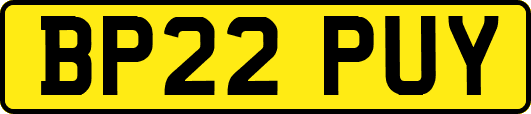 BP22PUY