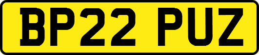 BP22PUZ