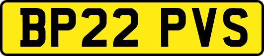 BP22PVS