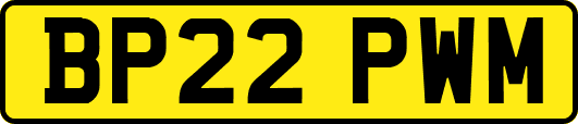 BP22PWM
