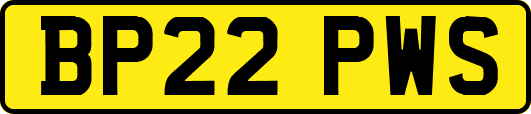 BP22PWS