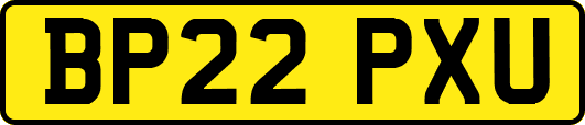 BP22PXU