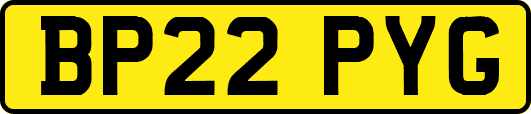 BP22PYG