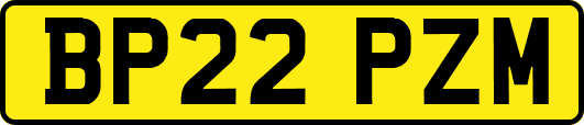 BP22PZM