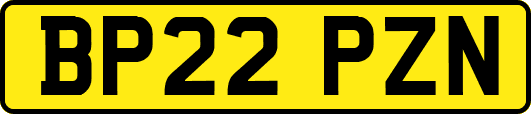 BP22PZN