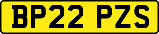 BP22PZS