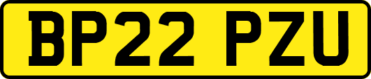 BP22PZU
